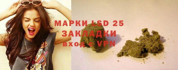 гашик Алзамай