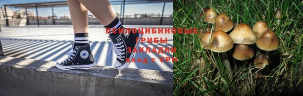 сатива Алексеевка