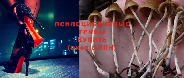 сатива Алексеевка