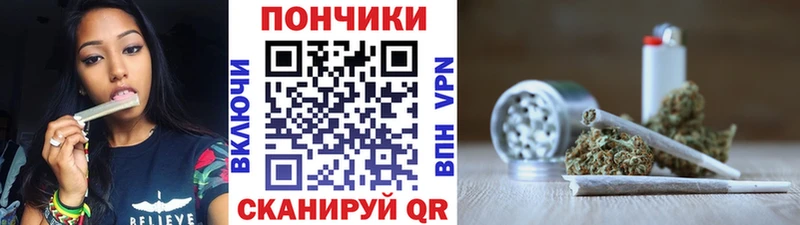Купить  Волосово  Каннабис OG Kush 